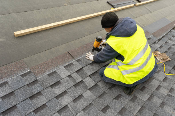 Roof Gutter Cleaning in Marlboro Meadows, MD
